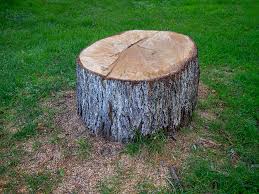 Best Lot and Land Clearing  in Clarksburg, MD