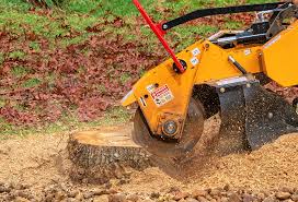 Best Aeration Services  in Clarksburg, MD