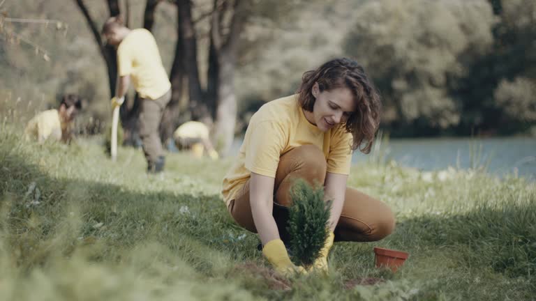 Best Organic Lawn Care Solutions  in Clarksburg, MD